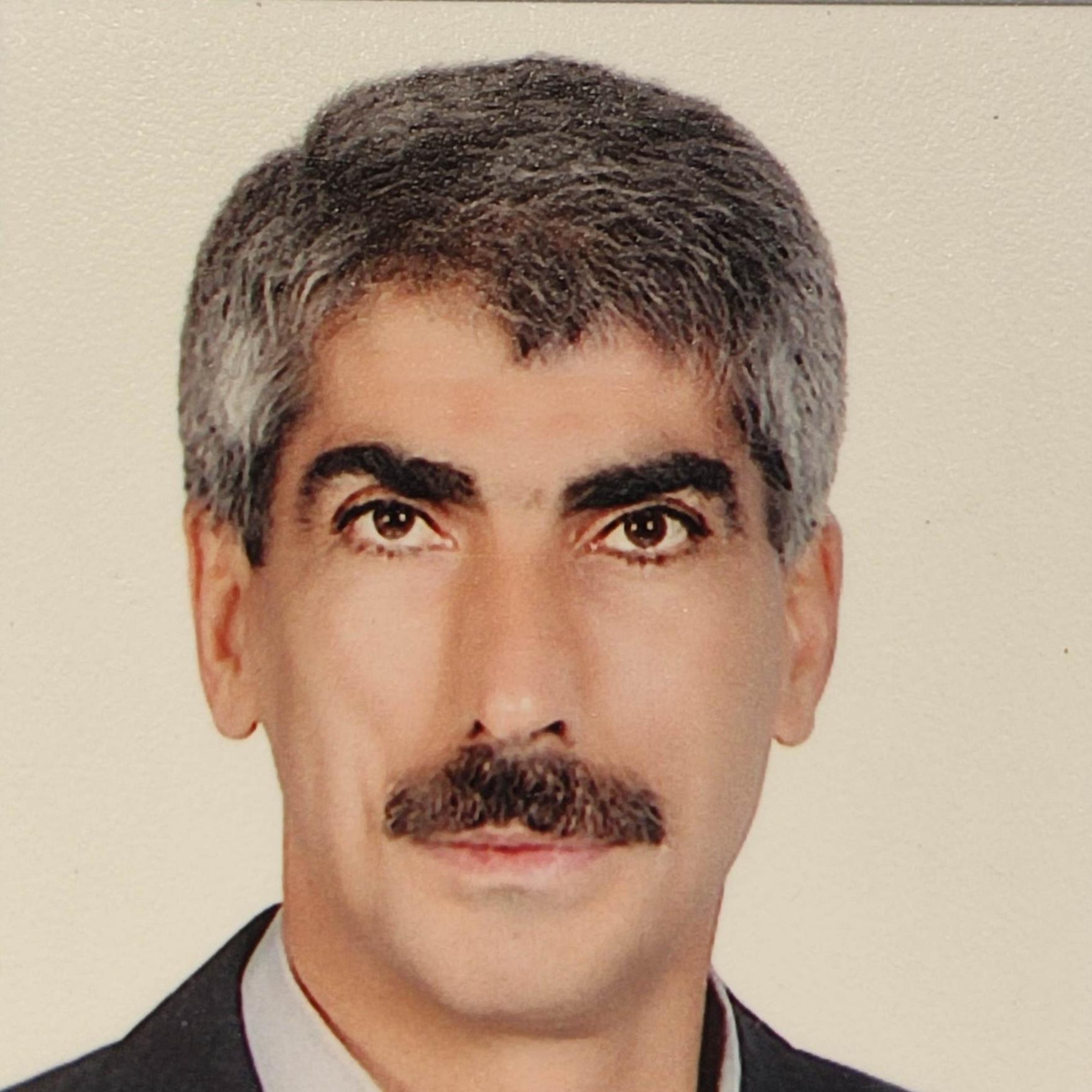 Hossein Falinejad