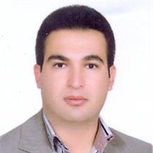 Vahid Madadi Avargani