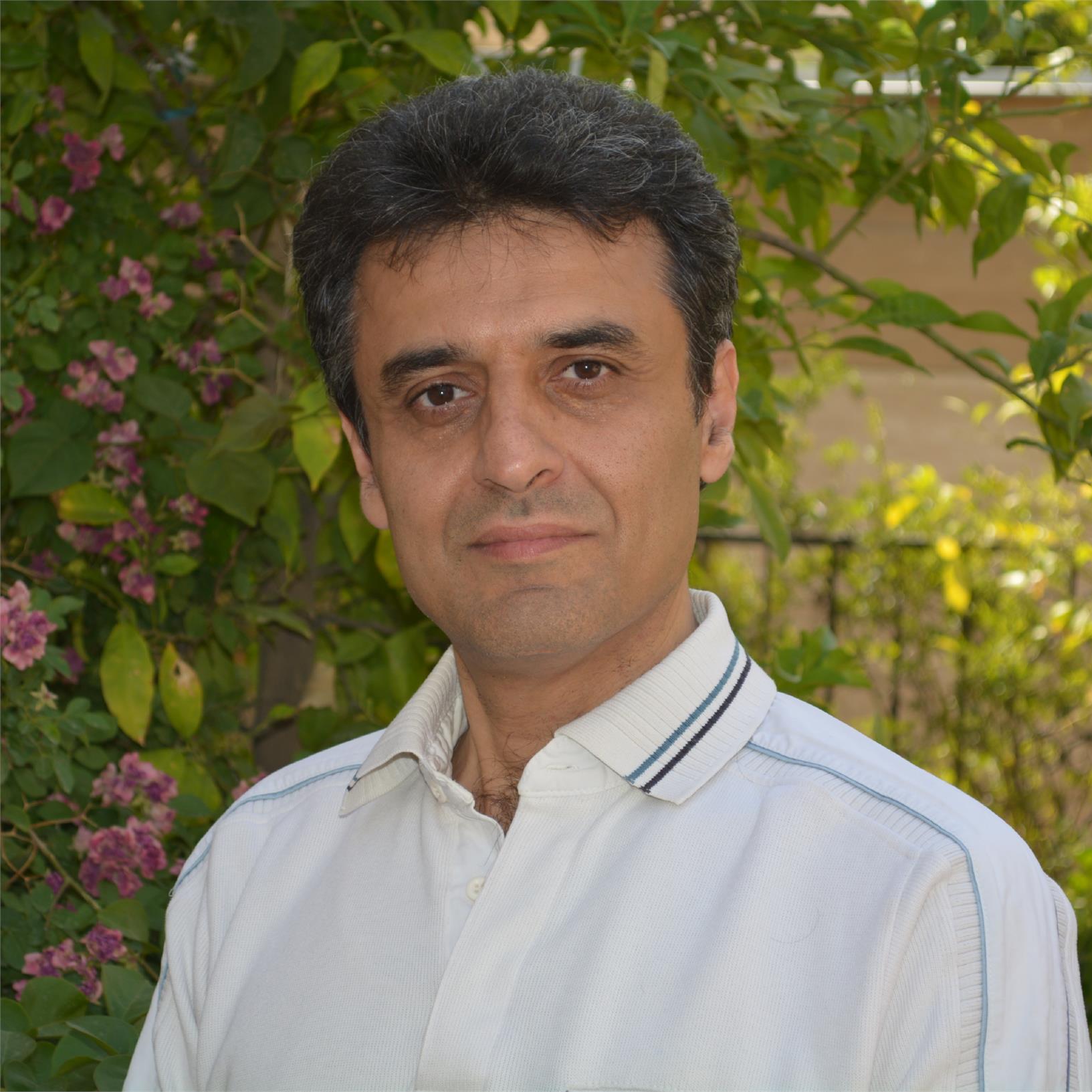Hossein Raanaei
